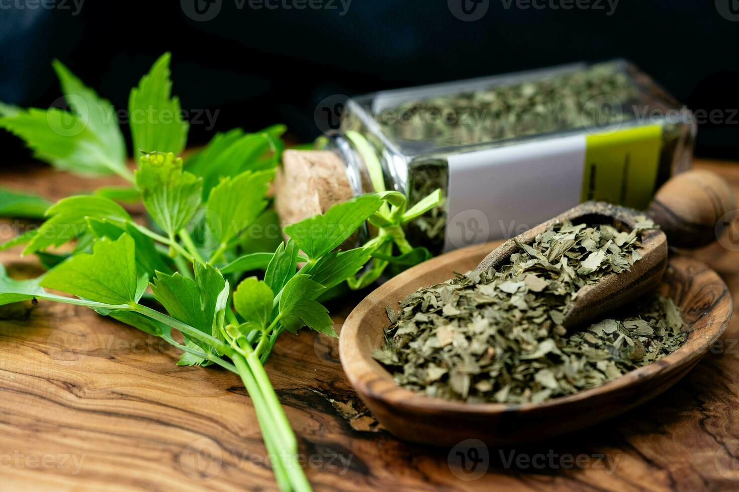 Leaves of the lovage plant Levisticum officinale fresh and dried photo