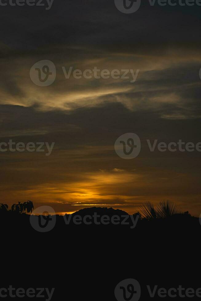 Sunset in the Desert with silhouettes of palm trees photo