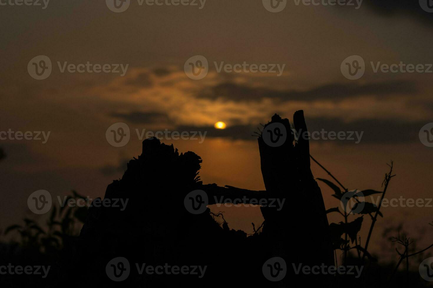 Silhouetted Sky at Evenings Dawn. photo