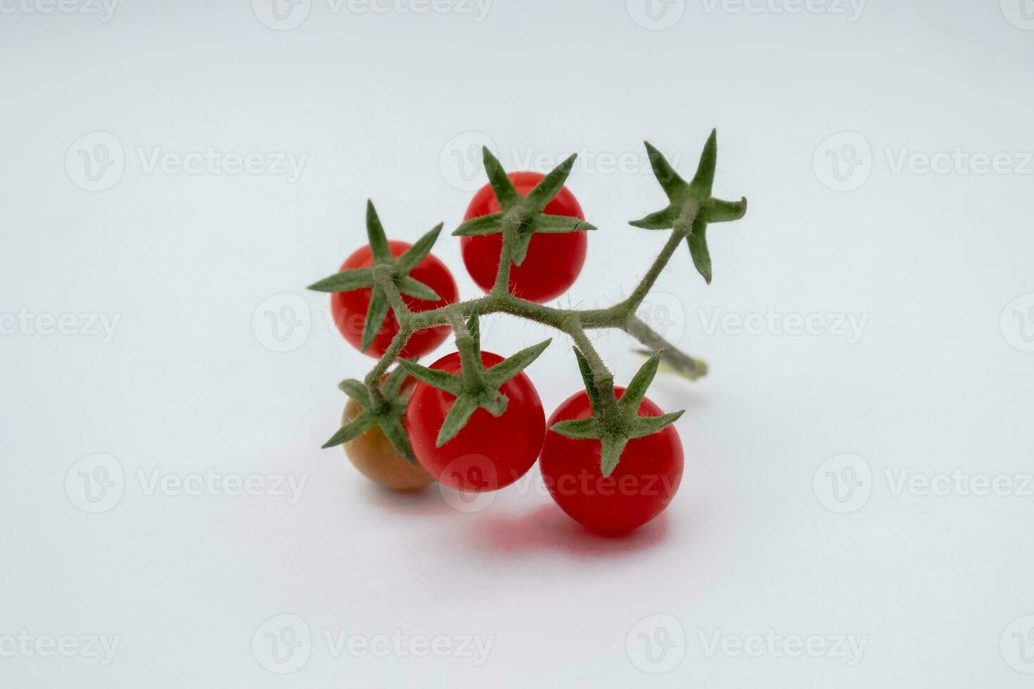 Cereza Tomates en un blanco antecedentes foto