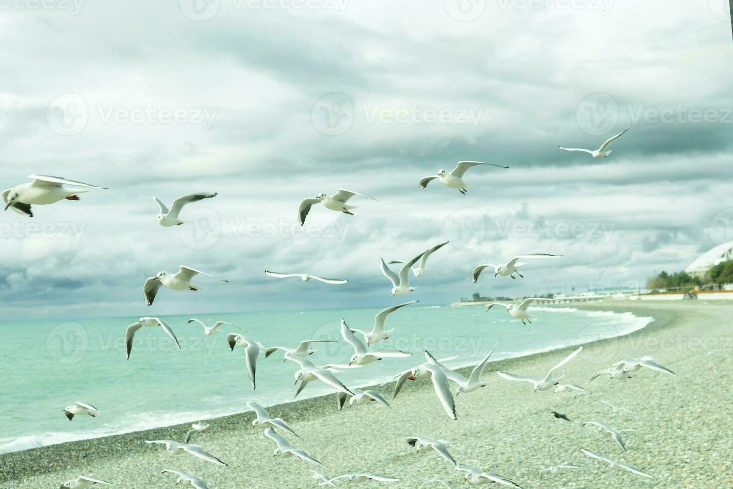 The picturesque coast of the Black Sea, the concept of sea travel and vacation. photo