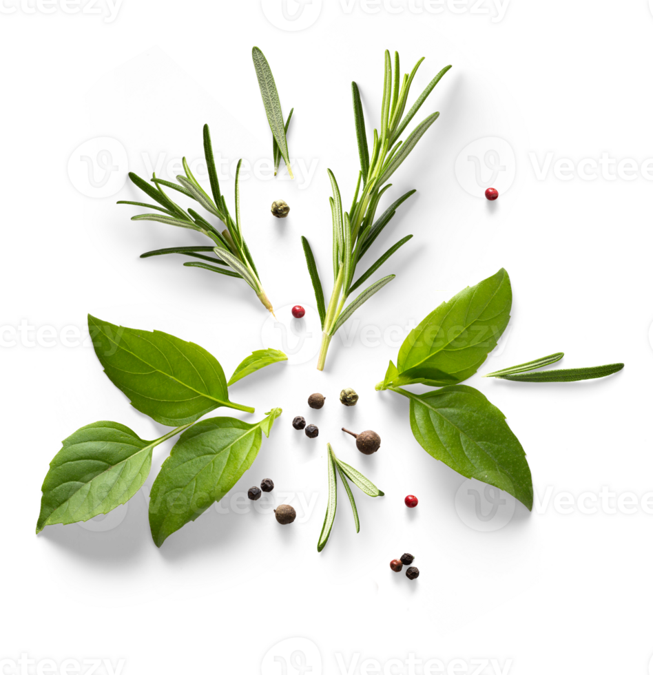 fresh mediterranean herb and spices with real transparent shadow isolated on transparent background. PNG Food background design element
