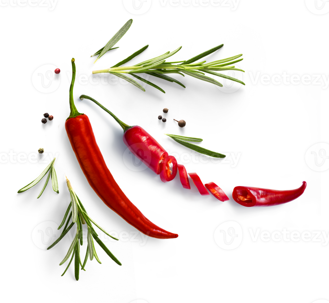 Fresh herb rosemary and red chilli pepper isolated on Transparent background. Transparent background and natural transparent shadow, Ingredient, spice for cooking. collection for design png