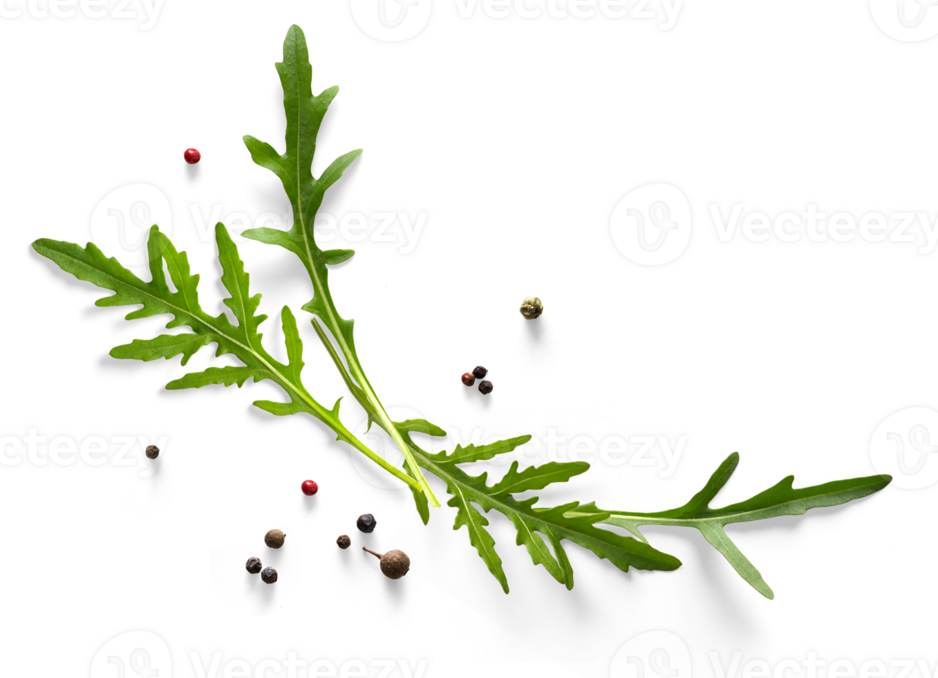 Collection of fresh herb leaves. arugula Spices, herbs. PNG Food background design element with transparent shadow on transparent background.
