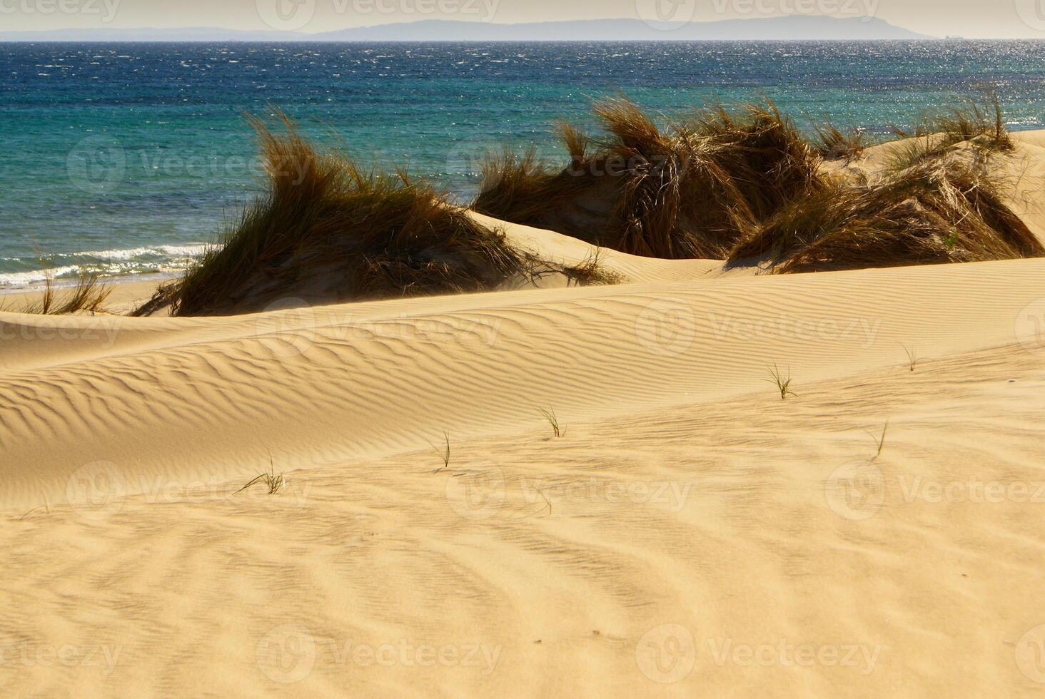 Beautiful view on beach and ocean, Spain, Tarifa photo