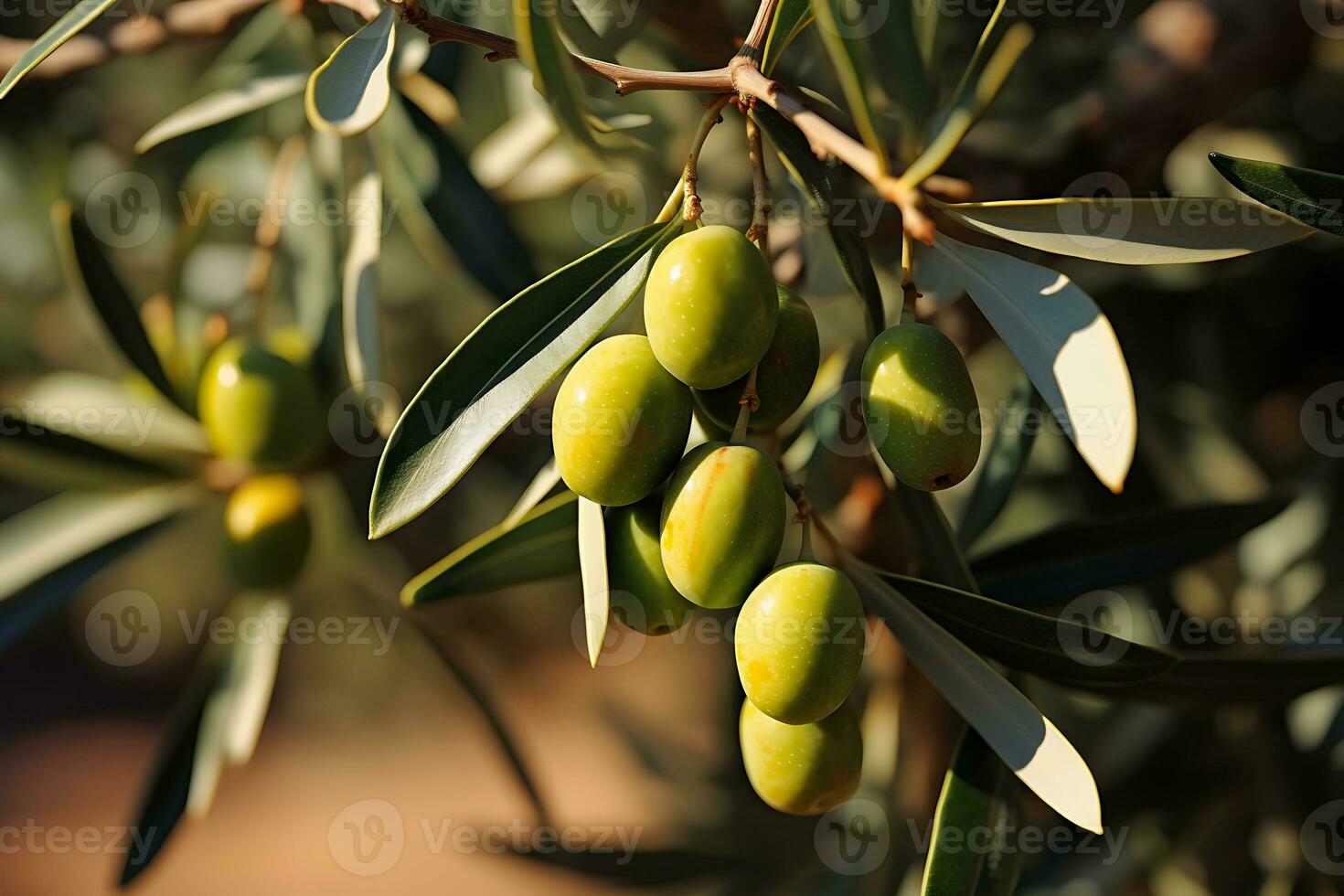 Selective focus shot of an olive tree branch full of the fruits, AI Generative photo