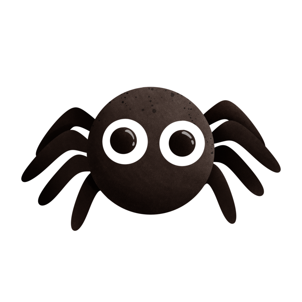 Cartoon drawing of spider png