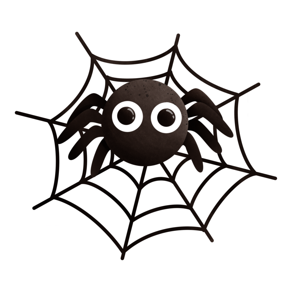 spider on cobweb png