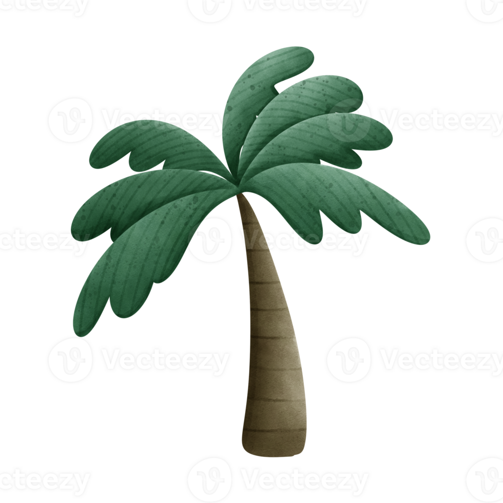 Green coconut tree cartoon drawing png