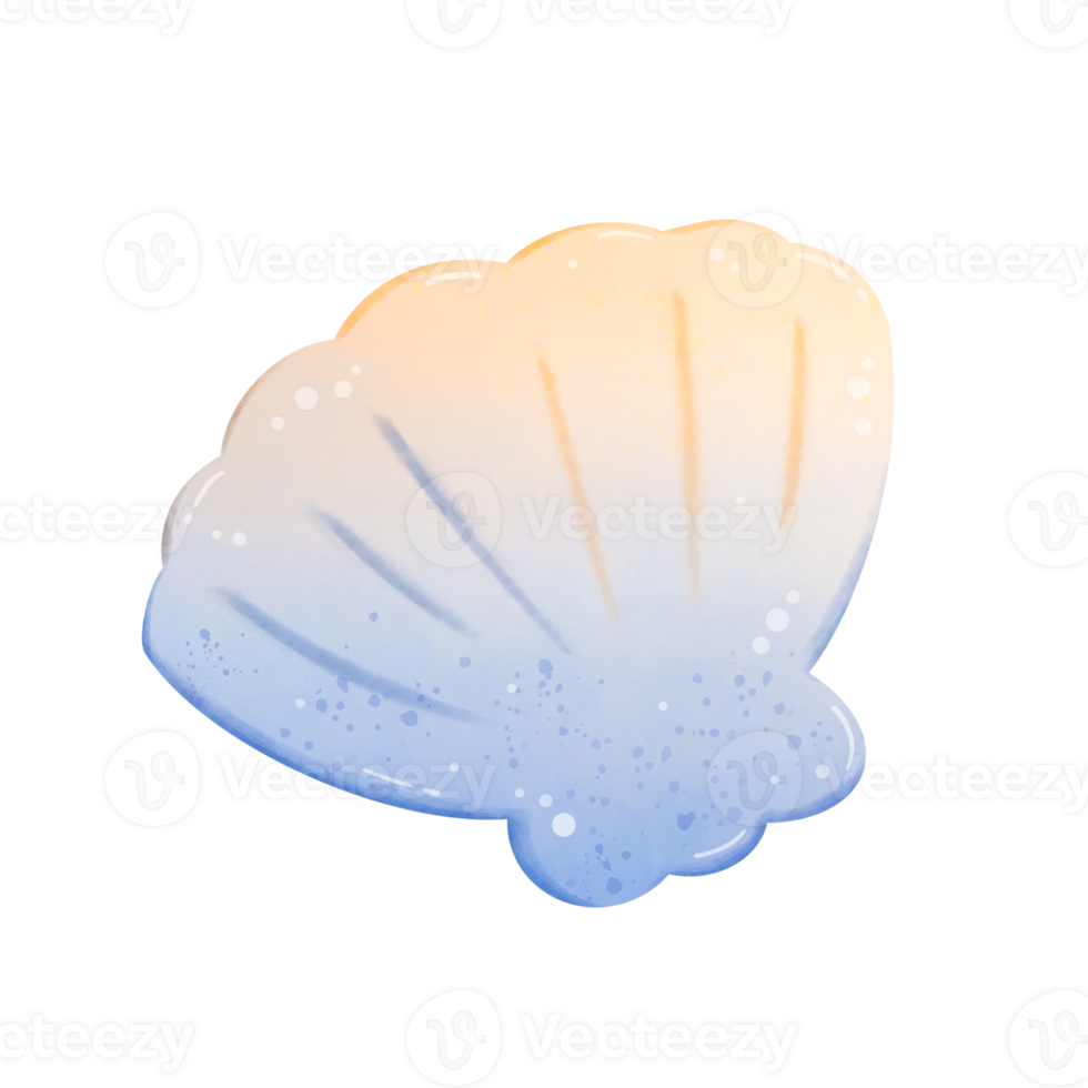 Colorful seashell Cartoon drawing png