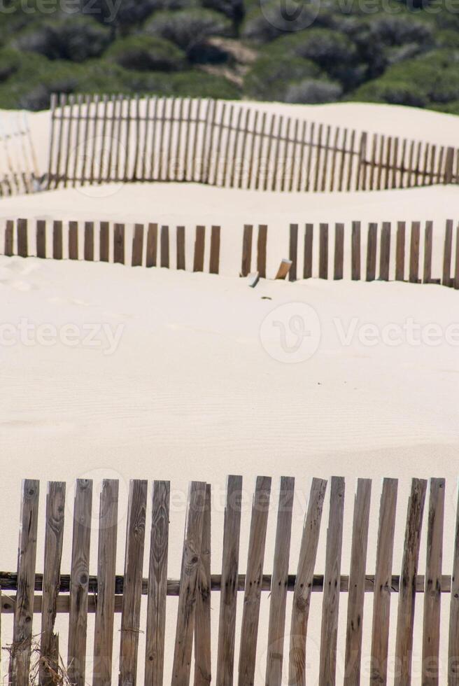 Wooden fences on deserted beach dunes in Tarifa, Spain photo