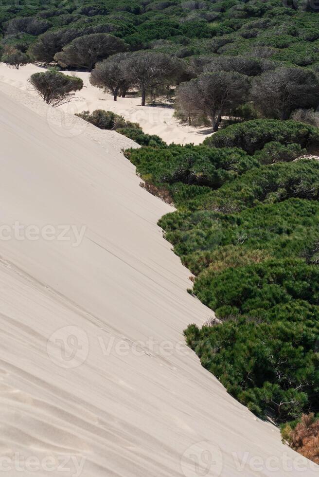 Beautiful view on beach and ocean, Spain, Tarifa photo