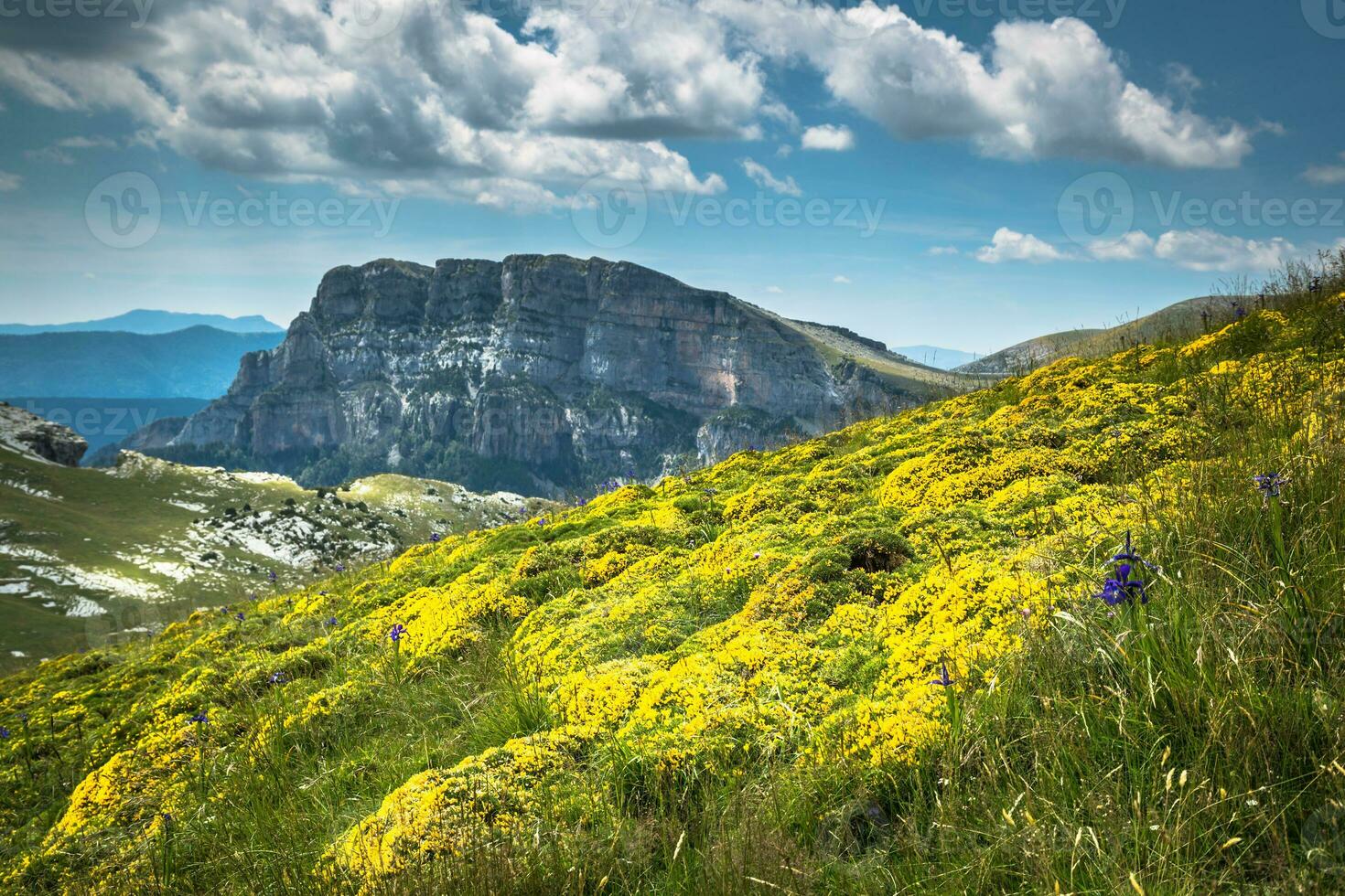 Pyrenees Mountains landscape - Anisclo Canyon in summer. Huesca,Spain photo