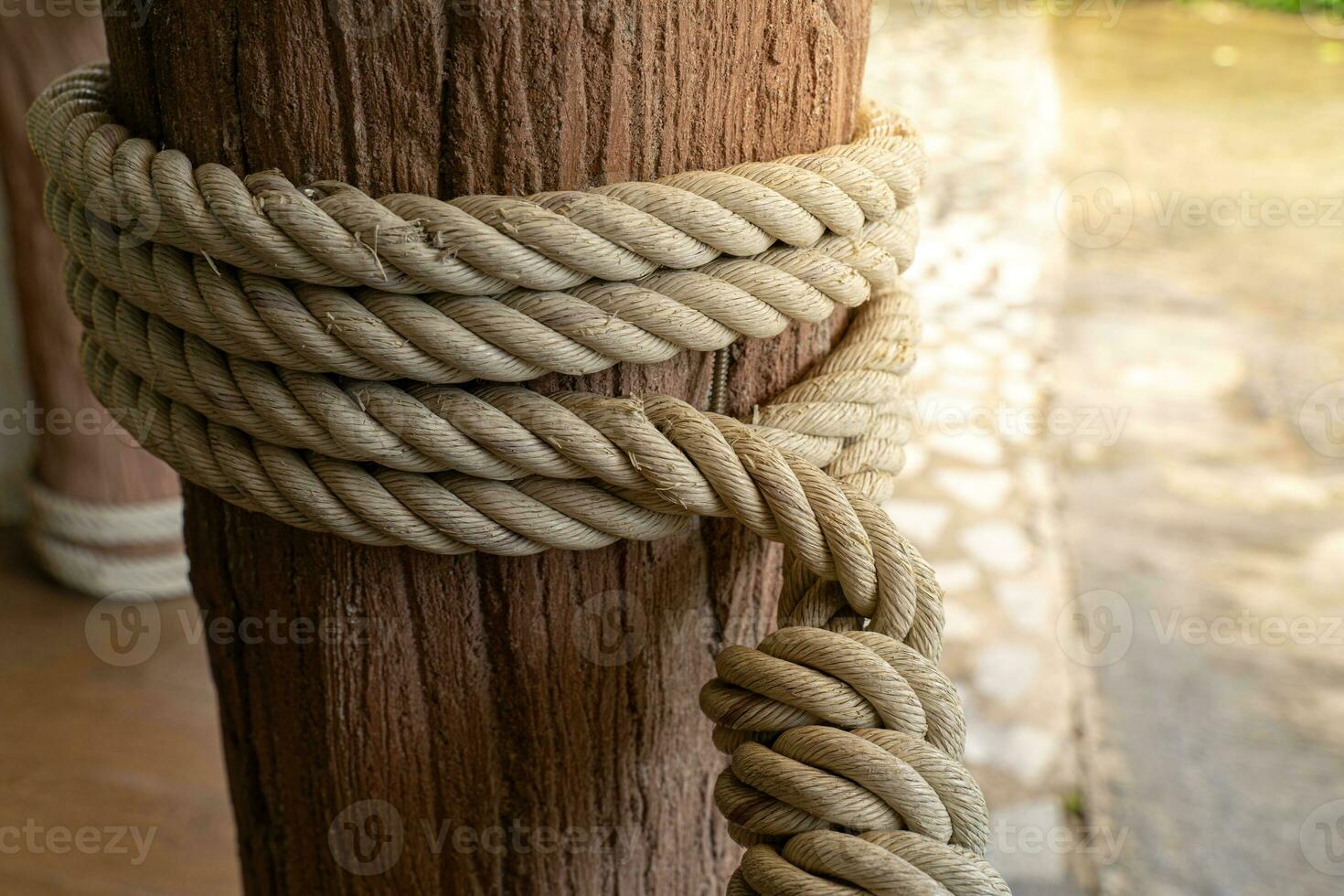 A thick rope was tied to the leaky log, its frayed ends dancing with each water current, as if in a secret underwater waltz. photo