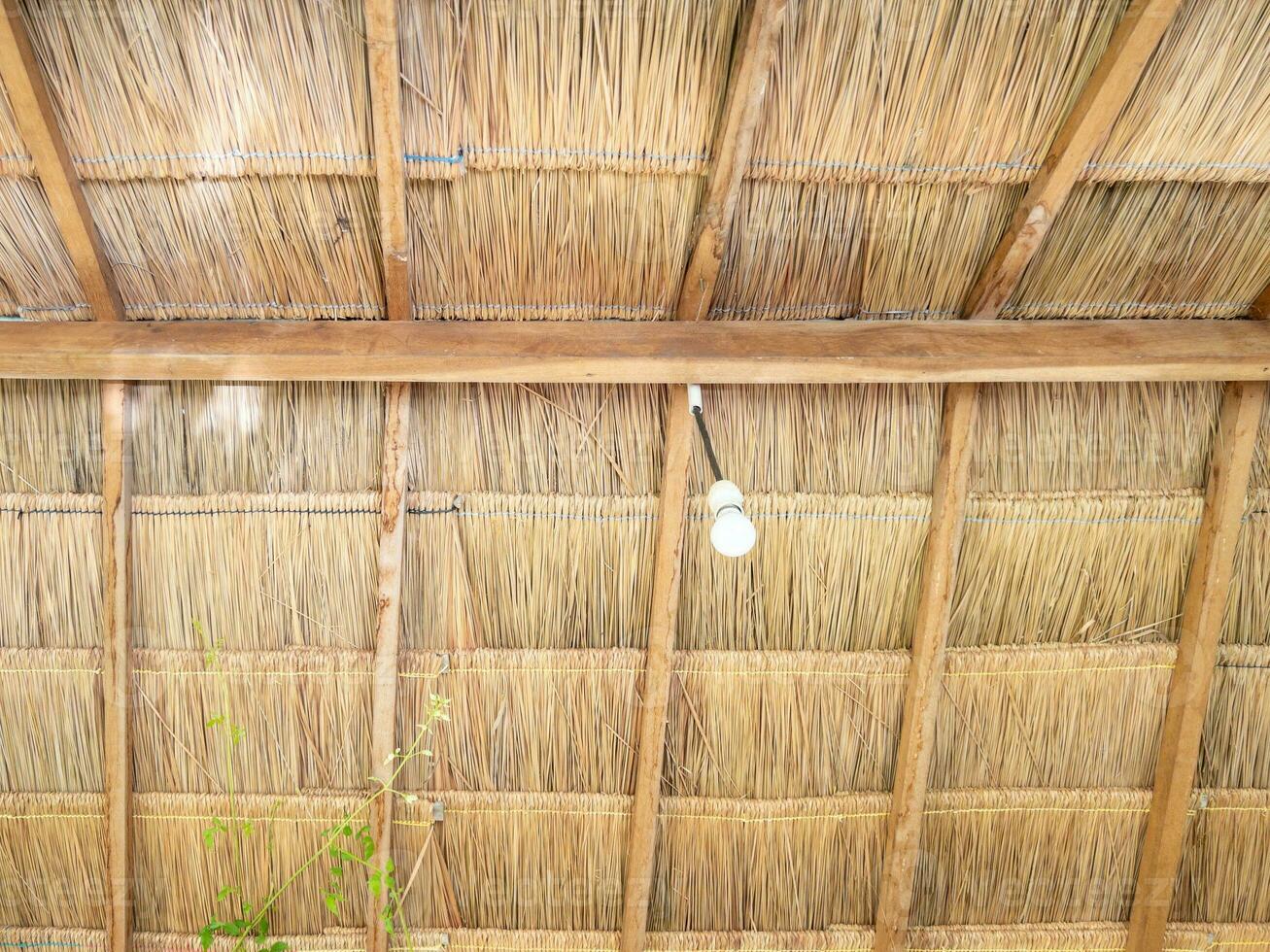 The LED bulb is hanging from the ceiling of the thatch. photo