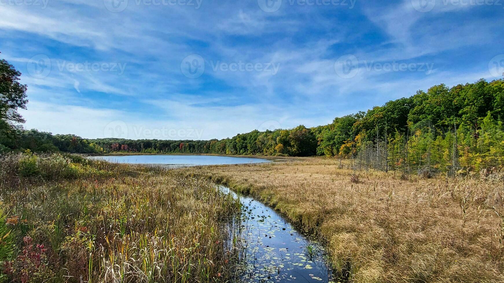 Beautiful Fall Hike at Chain of Lakes Trail in Dexter Township, Michigan photo