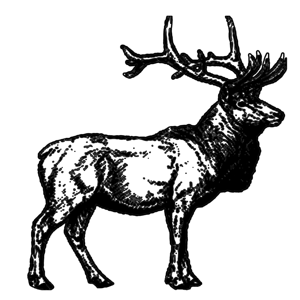icon clipart deer antlers herbivore animal wildlife png