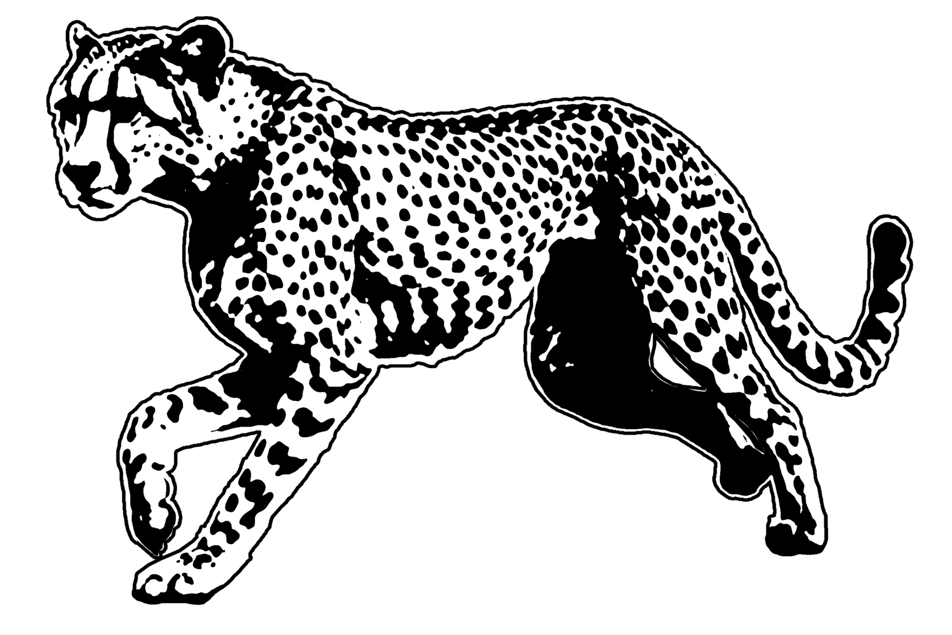 icon clipart cheetah animal wildlife 31398329 PNG