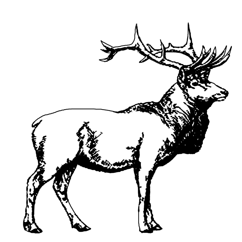 icon clipart deer antlers herbivore animal wildlife png