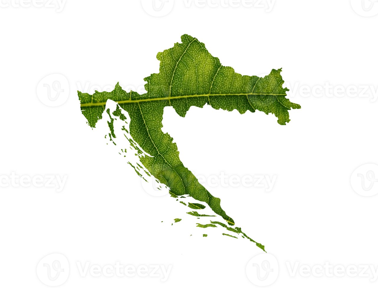 Croatia map made of green leaves ecology concept png