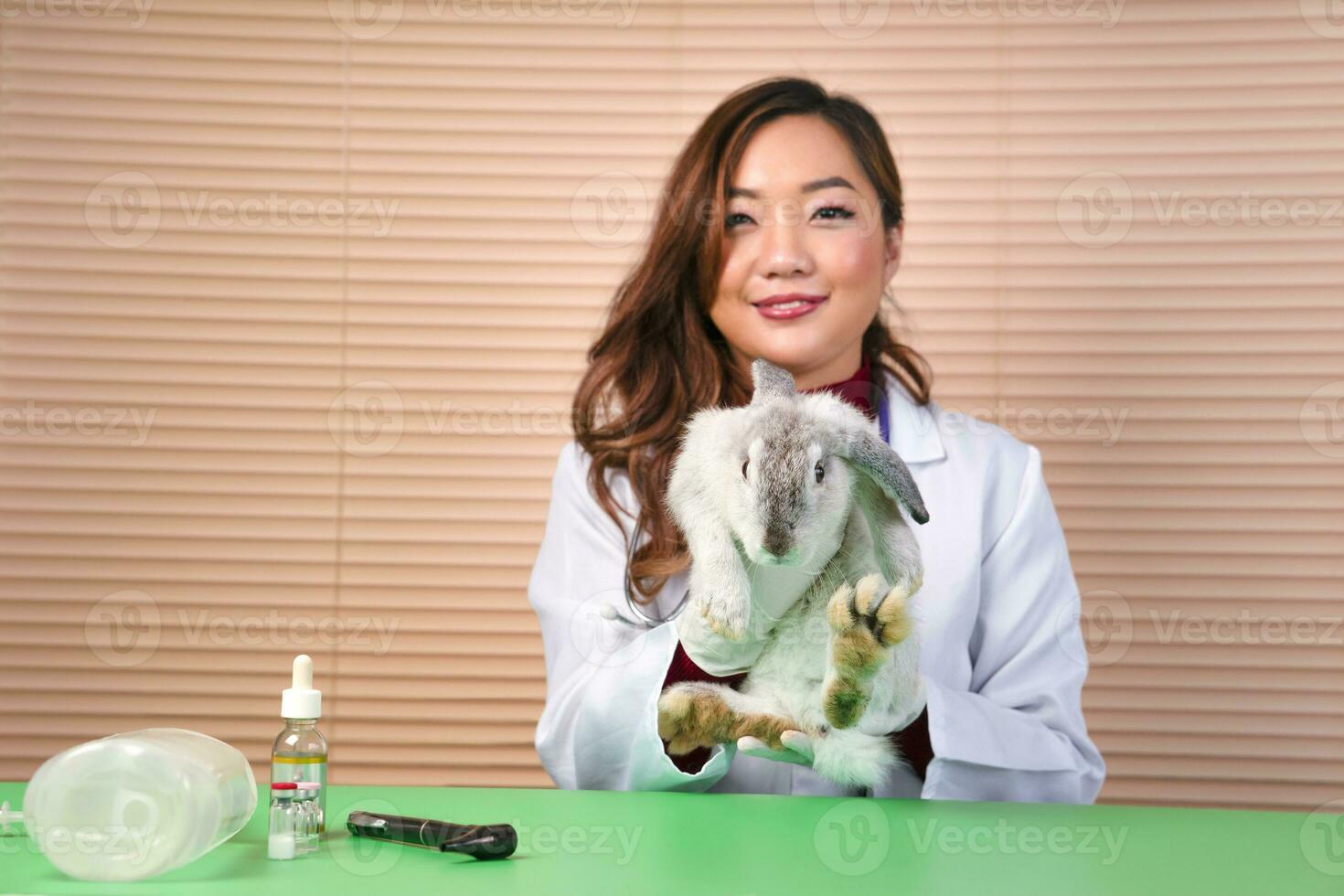 portrait a young grey cute rabbit and veterinary in uniform while examining in clinic,selective focus at rabbit photo