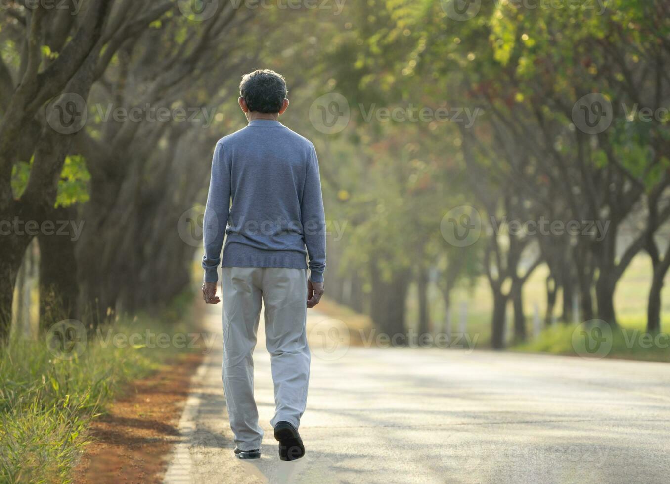 mayor hombre caminando a lo largo el calle en el Mañana luz solar, antiguo hombre explorador en campo naturaleza en otoño foto