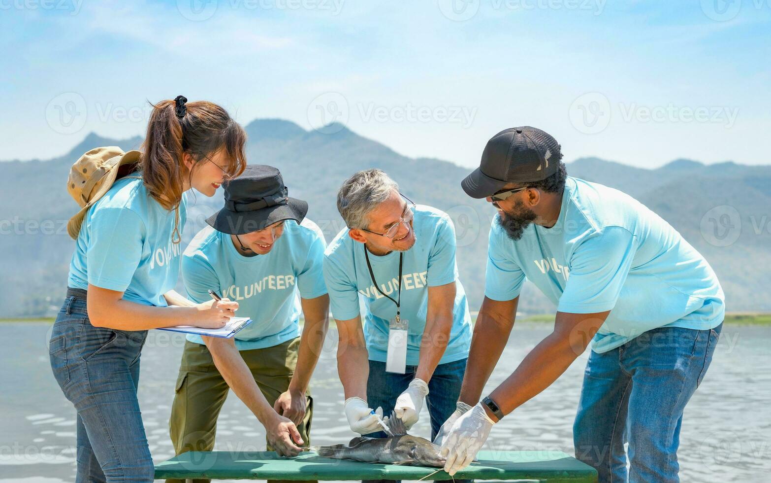 volunteers led by a biologist  injecting microchips to reproduce fish by the river for conservation of rare fish species photo