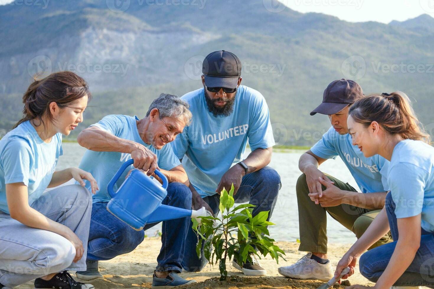 group of diverse volunteers planting trees in evening sun, concept reforestation, environmental conservation, save earth photo