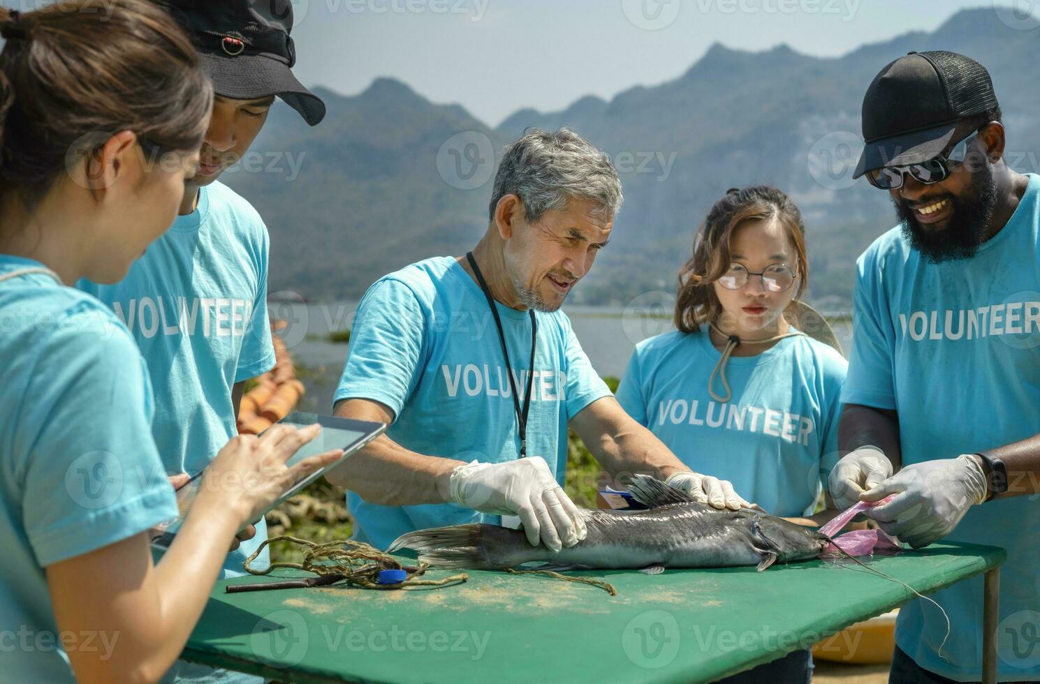 group of volunteers working by the river, african man pulling trash out of dead fish,concept of the impact of river,sea or ocean waste on aquatic animals,environmental issue,environmental conservation photo