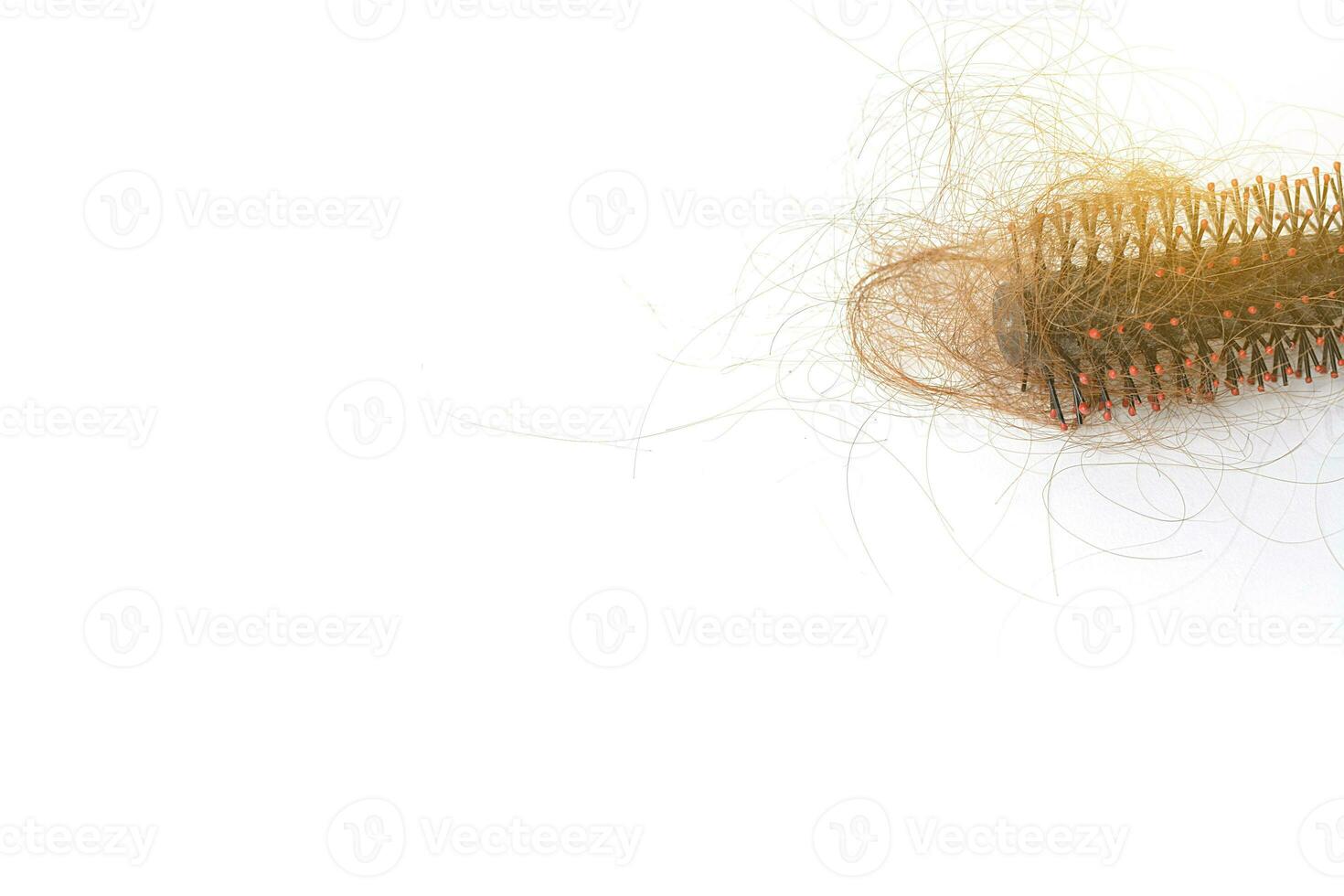 Hair loss in comb, hair fall everyday serious problem, on white background. photo