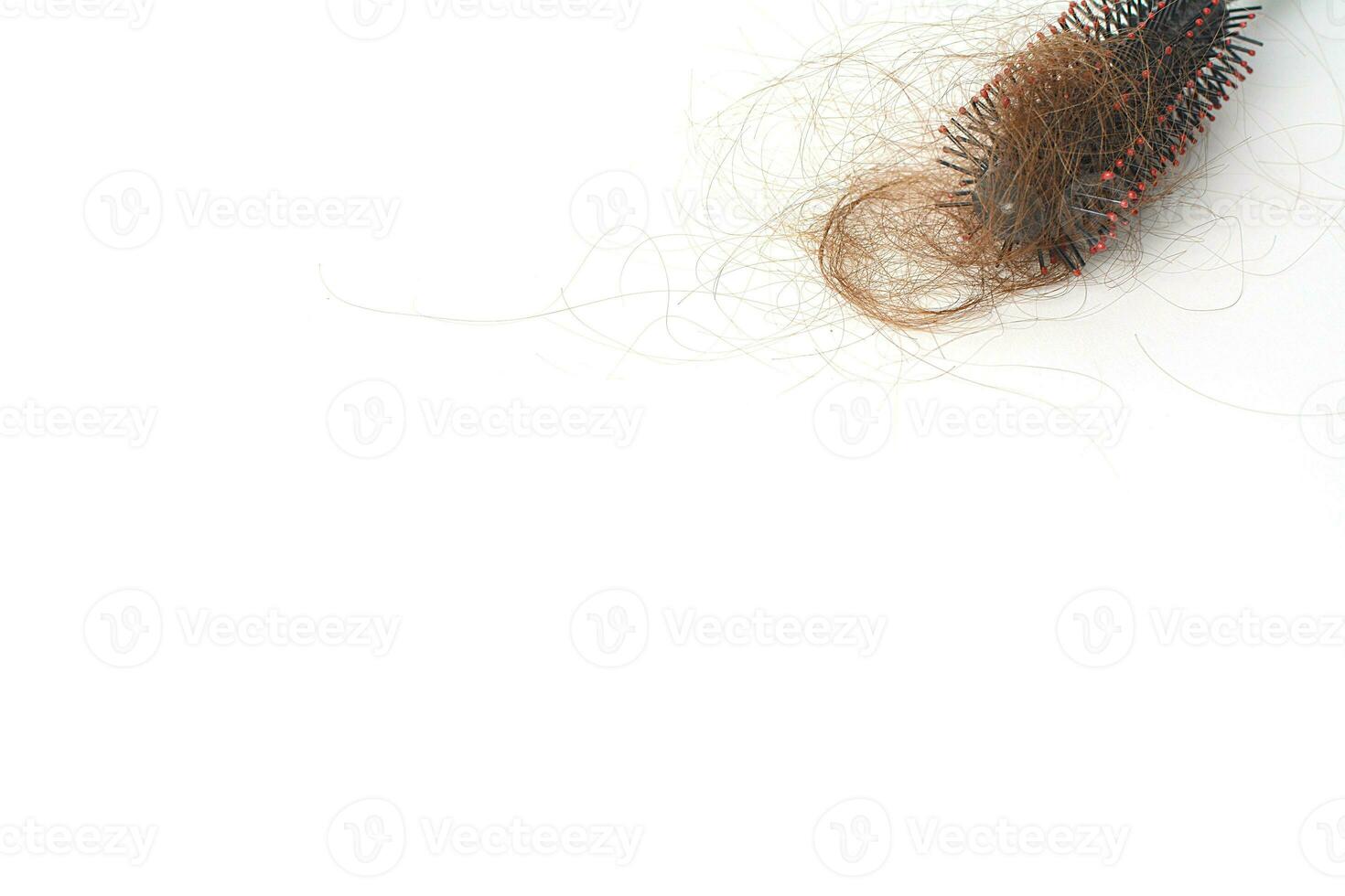 Hair loss in comb, hair fall everyday serious problem, on white background. photo