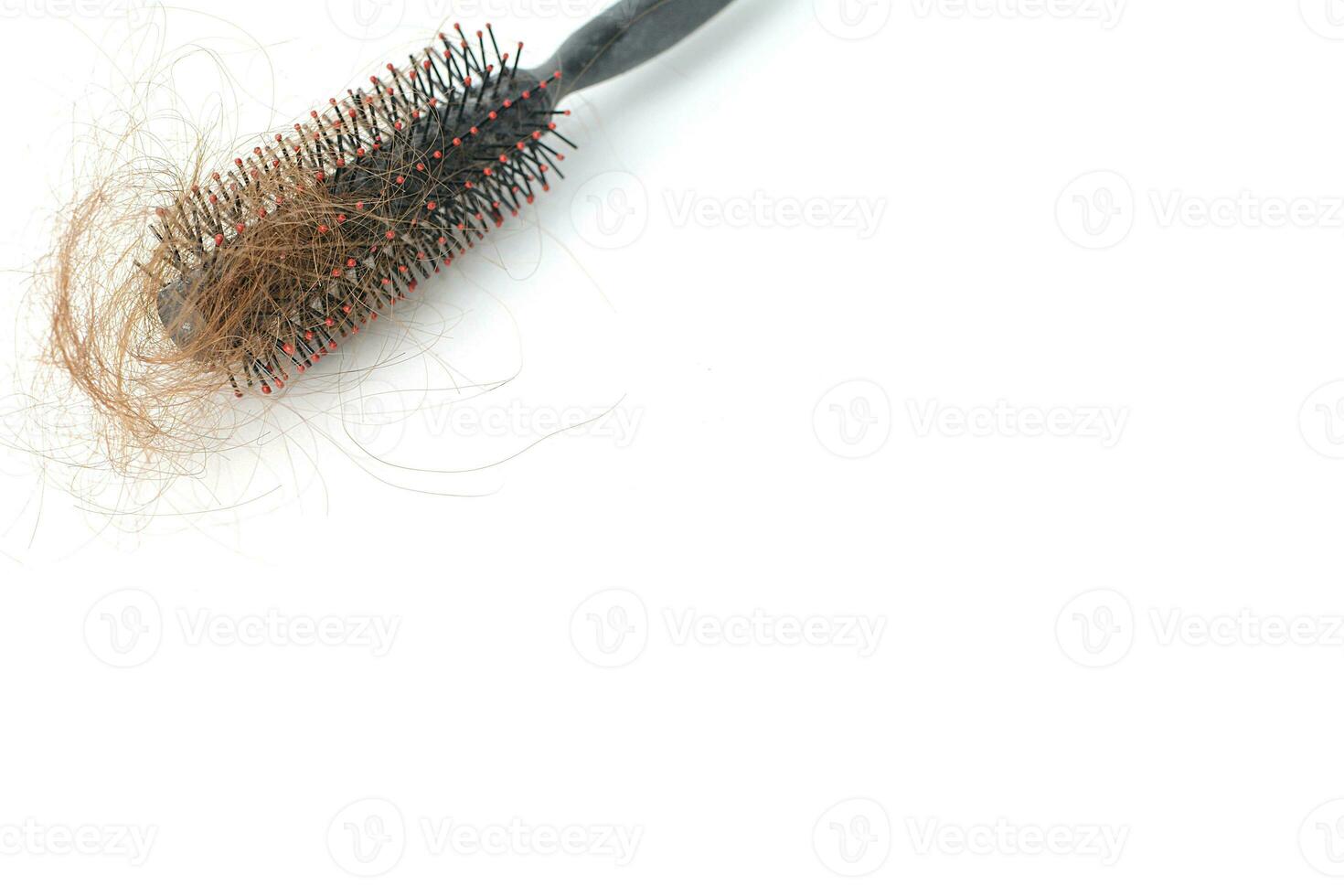 Hair loss in comb, hair fall everyday serious problem, on white background. photo