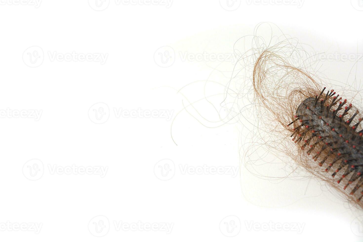 Hair loss in comb, hair fall everyday serious problem, on white background. photo