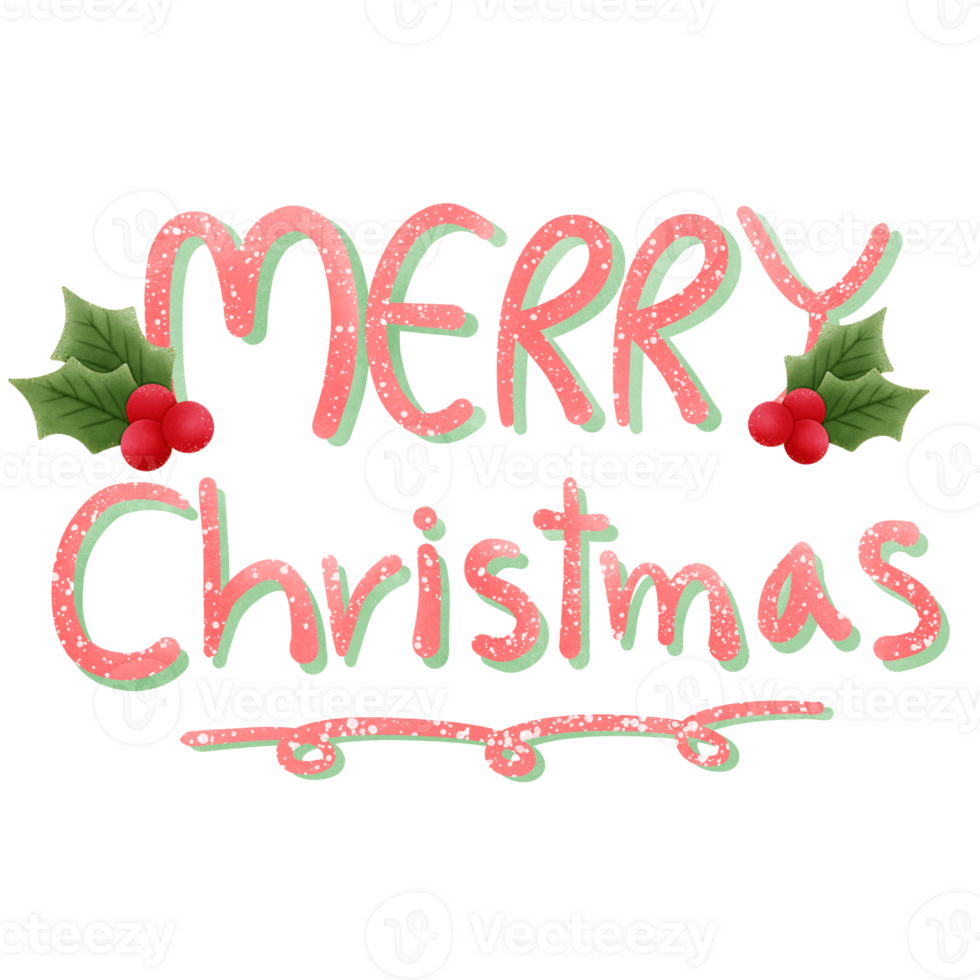 merry christmas lettering with holly isolated on transparent background png