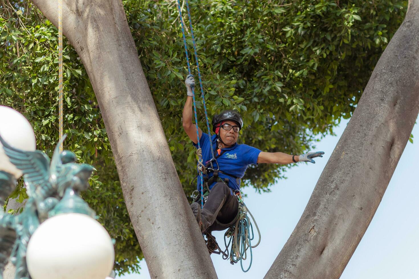 Puebla, Mexico 2023 - Tree trimmer uses specialized climbing and cutting equipment to trim trees photo