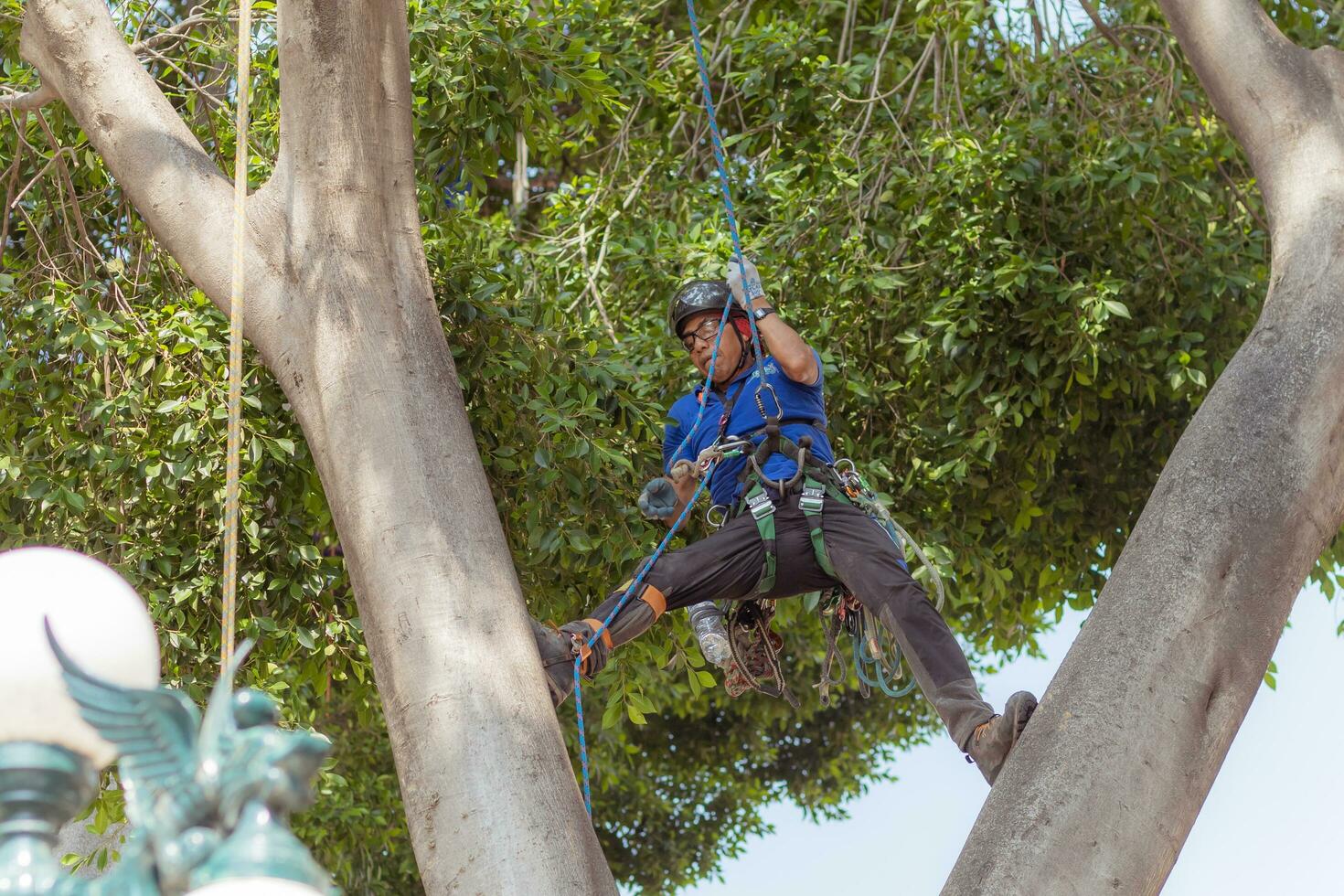 Puebla, Mexico 2023 - Tree trimmer uses specialized climbing and cutting equipment to trim trees photo