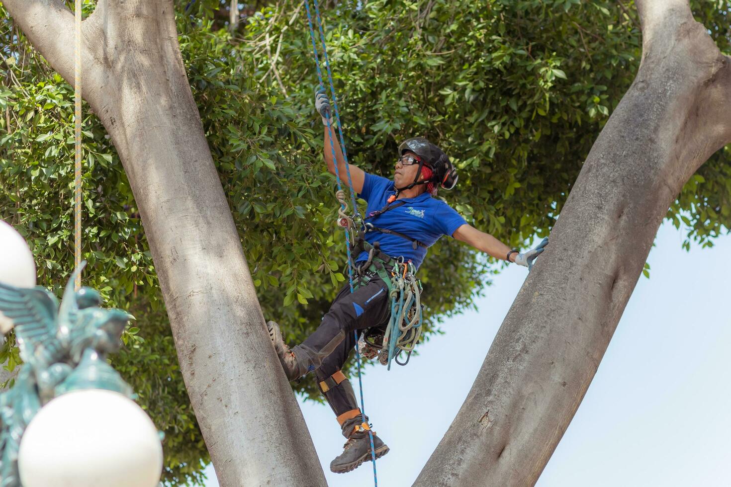 Puebla, Mexico 2023 - Tree trimmer uses specialized climbing and cutting equipment to trim trees photo