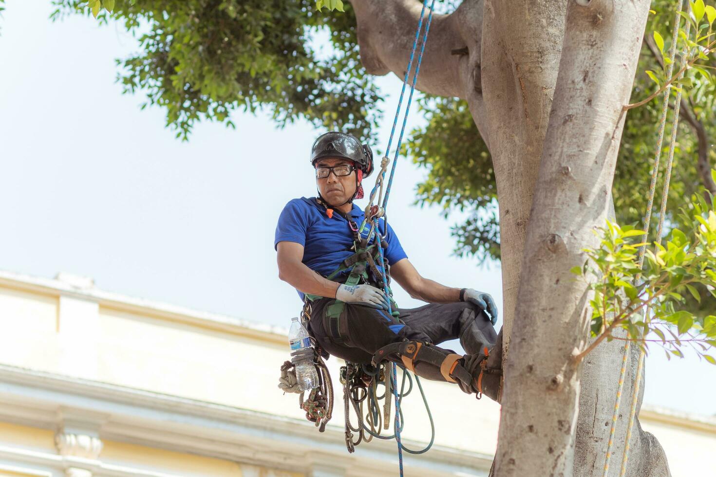 Puebla, Mexico 2023 - Tree trimmer uses specialized climbing and cutting equipment to trim trees photo