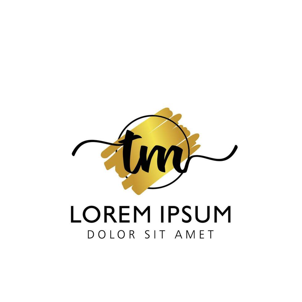 TM Initial Handwriting gold Brush Template Design vector