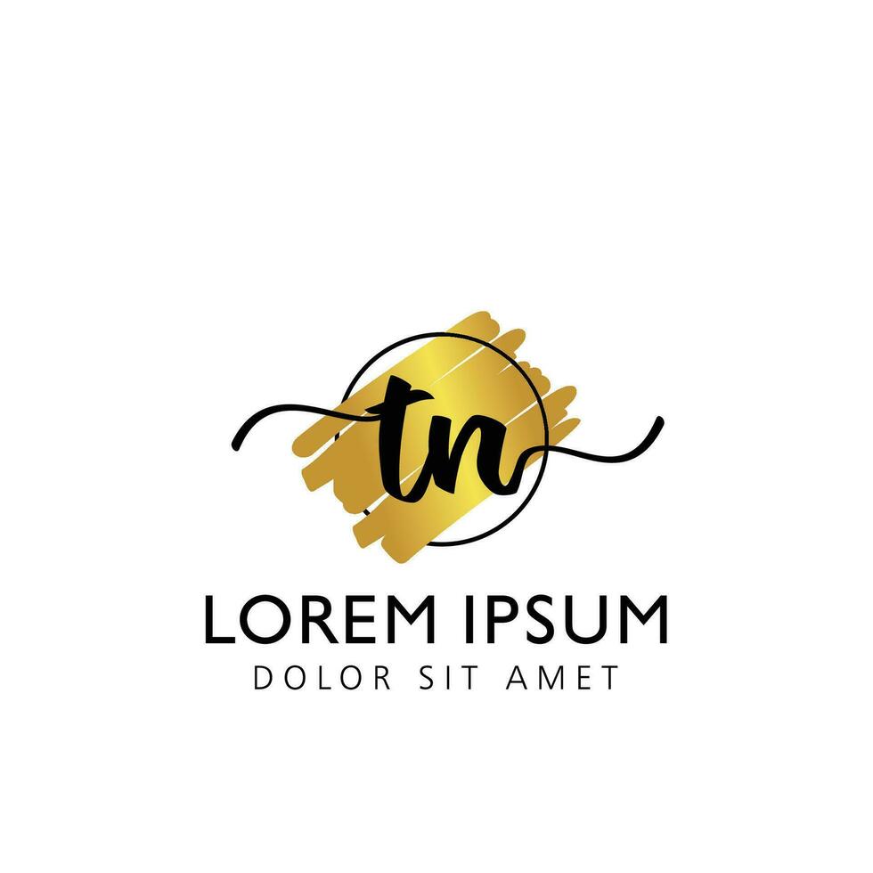 TN Initial Handwriting gold Brush Template Design vector
