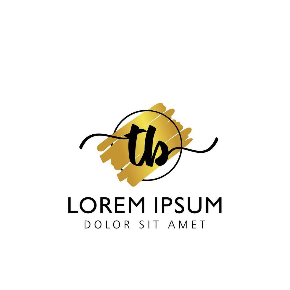 TB Initial Handwriting gold Brush Template Design vector