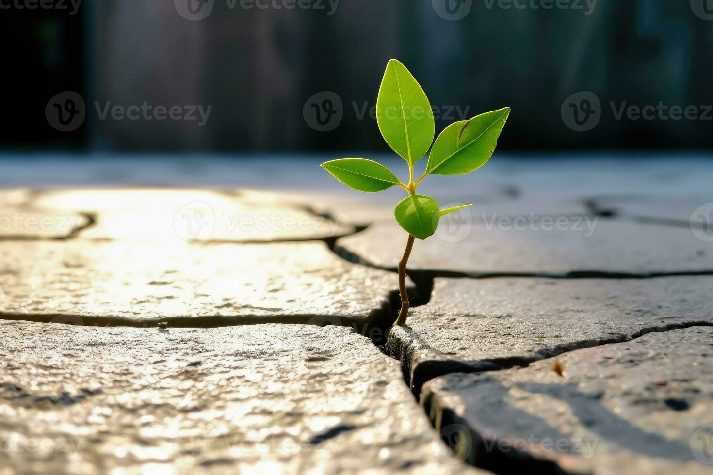 Emergence of New Life - Young Green Plant Breaking Through Stone Cracks - Generative AI photo
