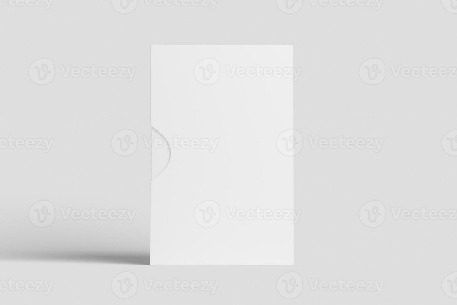 Software Box Wth Slip Case White Blank 3D Rendering Mockup photo