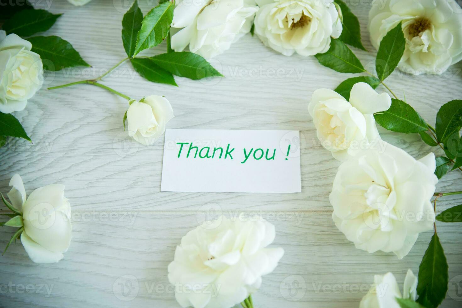 background of many white roses on a light wooden photo