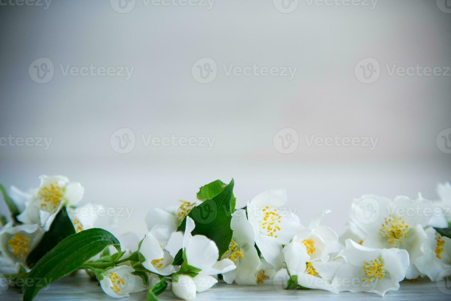 de madera antecedentes con floreciente blanco jazmín y vacío espacio foto