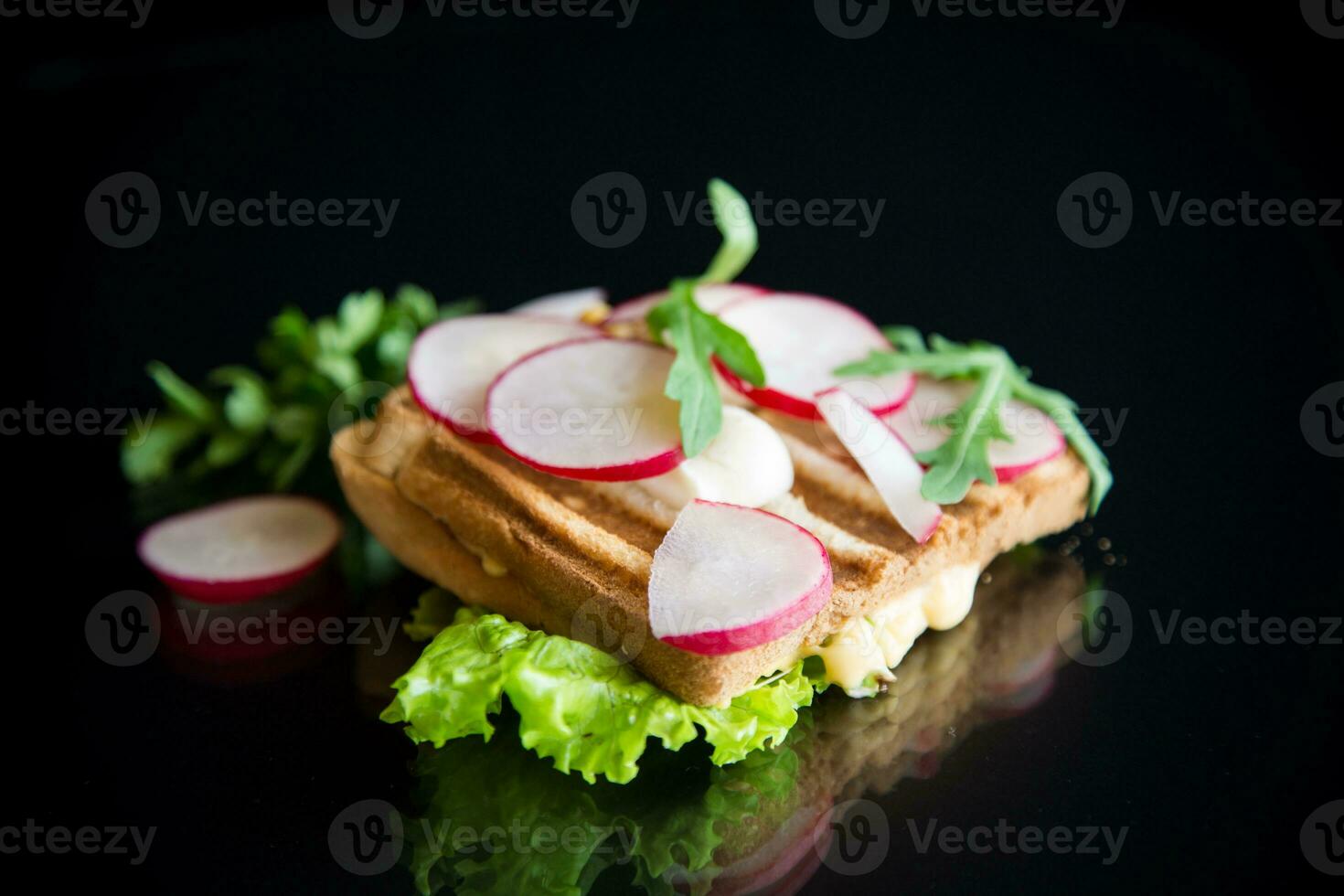 caliente emparedado de frito brindis relleno con queso, hierbas y rábanos foto