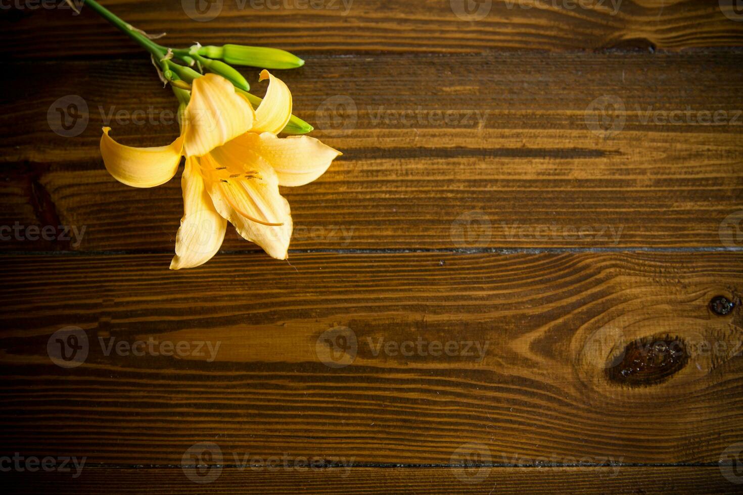 bouquet of beautiful yellow lilies on wooden table photo