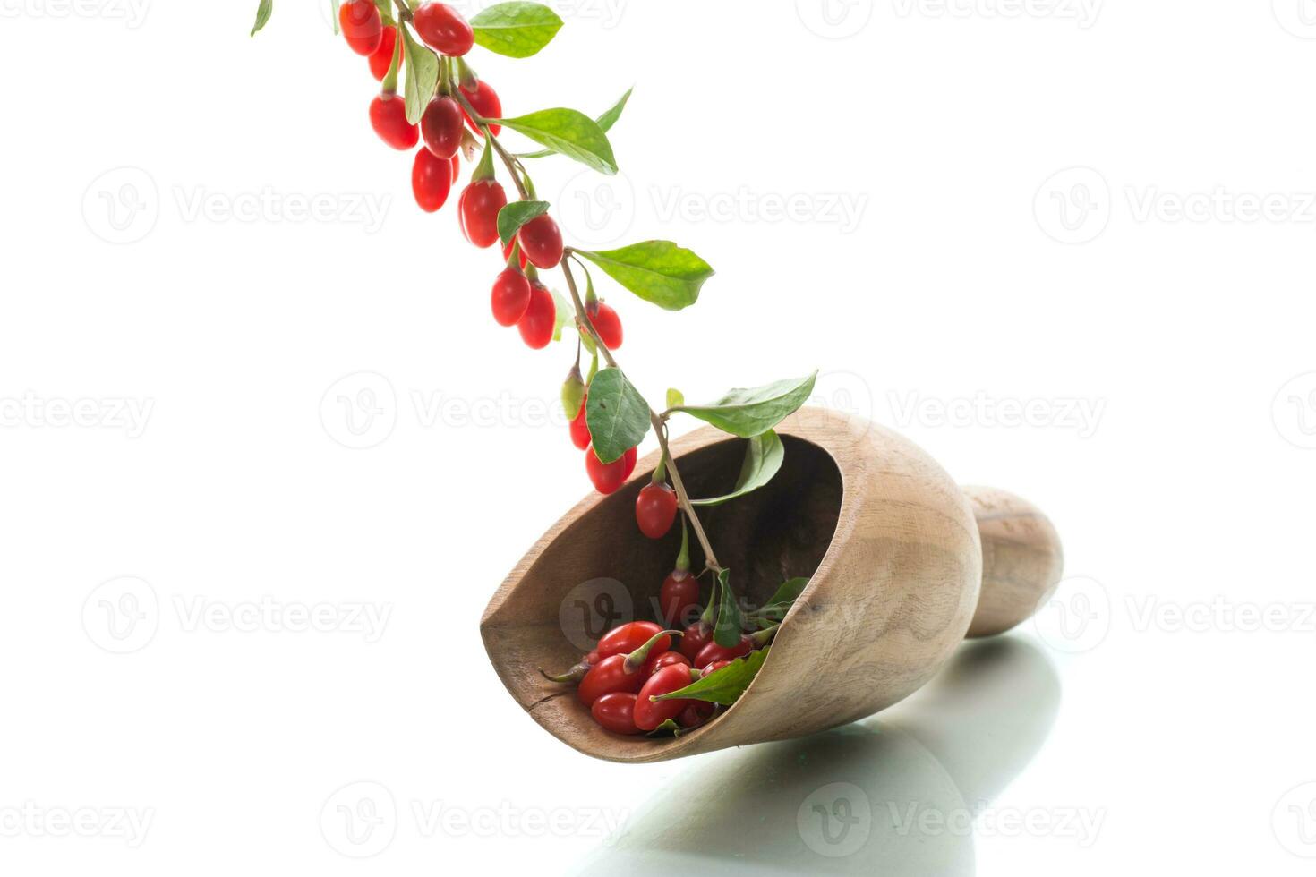 Branch with ripe red goji berry on white background photo