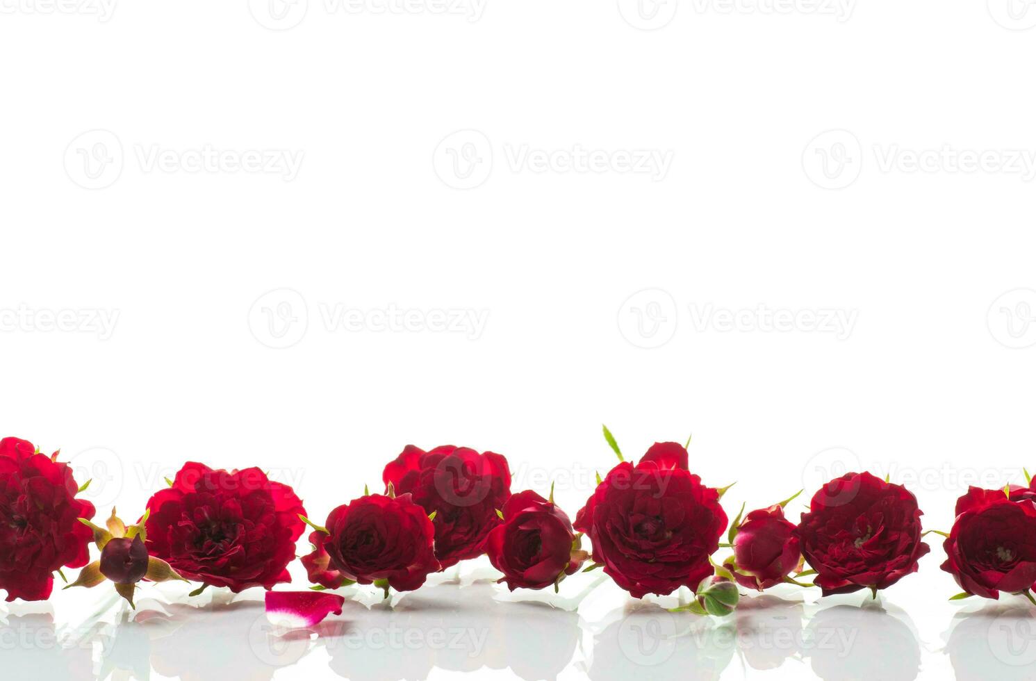 bouquet of red small roses, on white background. photo