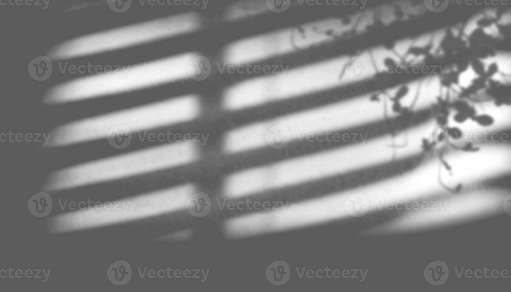 blur background. Abstract shadow of the window in morning light on white wall texture photo